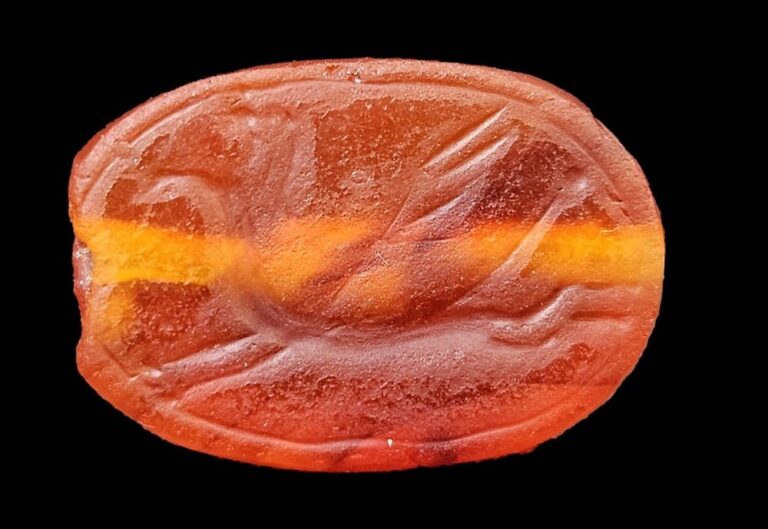The 2,800-year old scarab depicts a griffin or a winged horse galloping, characteristic of artwork from the eighth century BCE. Photo by Anastasia Shapiro/Israel Antiquities Authority