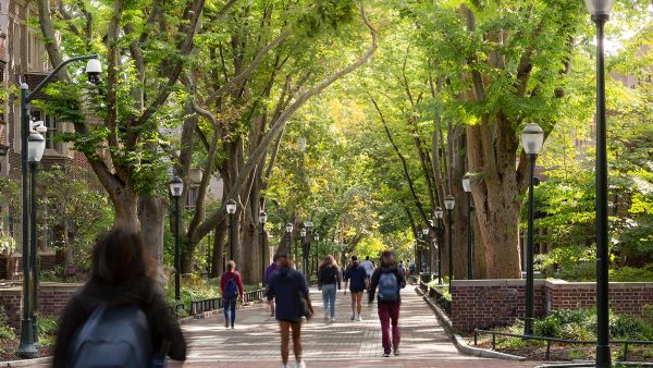 Locust Walk on Penn's campus (Photo: Getty Image)
