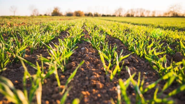 Photo by Jan Kopřiva on Unsplash