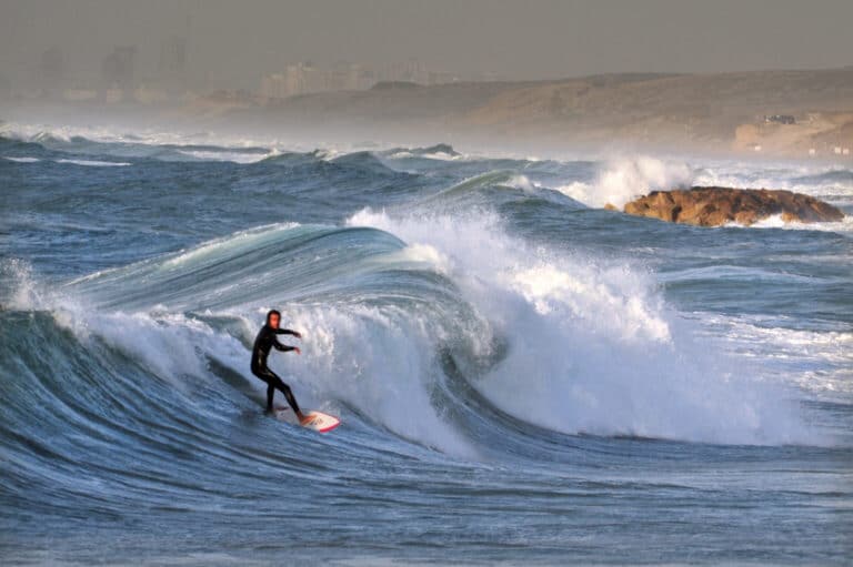 Photo by Shutterstock